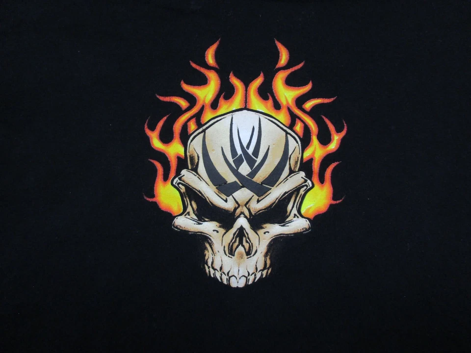Camiseta De Colección Y2K Top Pesada Manga Larga (L) Llameante Tribal Calavera Fuego Gótico Foto 3 de 4