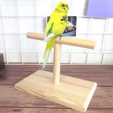 Bird Training Stood Tabletop Birdperch, Stable, Movement, Fitness Accessories