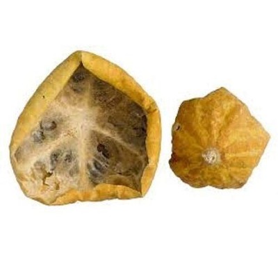 Organic Dry Indrayan Fal - Citrullus Colocynthis - Bitter Apple -Dry Tumba Fruit