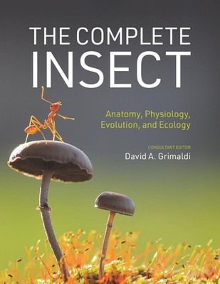 The Complete Insect: Anatomy, Physiology, Evolution, and Ecology by David A. Gri