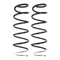 Fahrwerksfedern-Set Vorderachse Schraubenfeder Ø141Mm Spidan FüR U.A. CitroËN C3