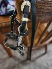 Mini Horse Show halter
