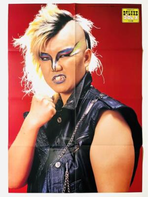 86 Bull Nakano Poster Showa Wrestling B2 | eBay
