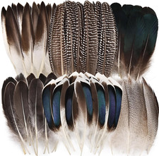 60Pcs Natural Pheasant Feathers Bulk Spotted Feathers 6 Styles Mixed Feathers fo