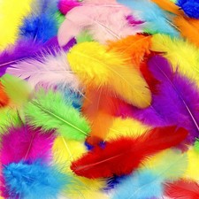 800Pcs Colorful Craft Rooster Feathers 3-5-inch Bulk for Multicolor