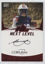 2021 Sage Premier Draft Next Level Auto Red Eli Stove #21NL-ES Auto 2b2