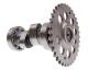 Sym Symply I 150 AC -09 Naraku A14 Racing Camshaft
