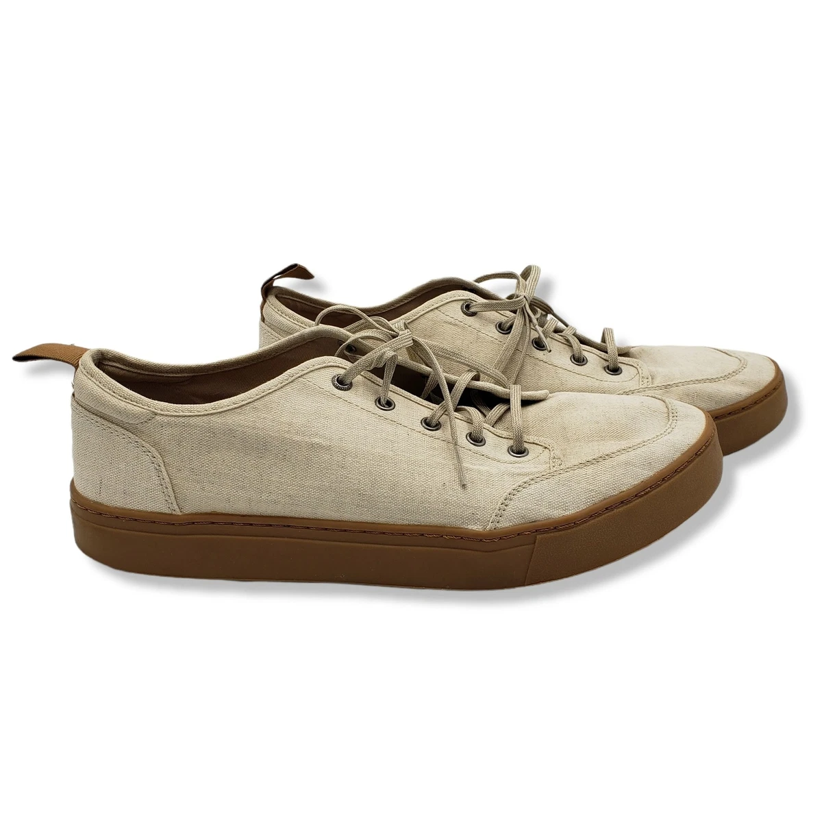 Toms 2024 landen sneaker
