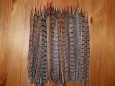 30 CUT COCK PHEASANT TAIL FEATHERS 9"FLY TYING ART& CRAFT FLORAL DISPLAY  
