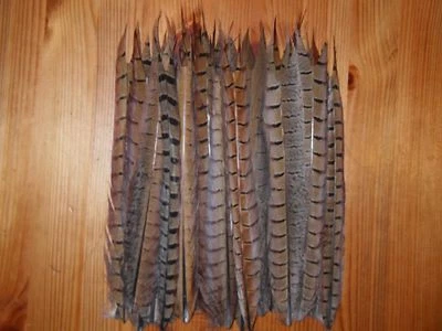 30 CUT COCK PHEASANT TAIL FEATHERS 9"FLY TYING ART& CRAFT FLORAL DISPLAY