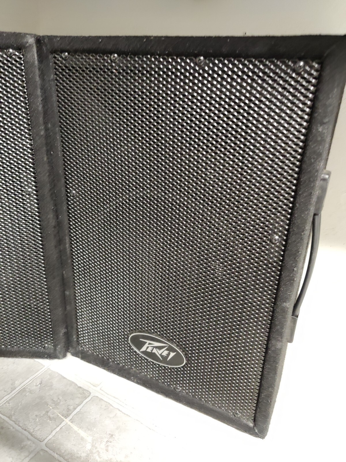 Peavey Amp Peavey PVi 10 Speakers (Pair) 100W 2-Way PA Speakers