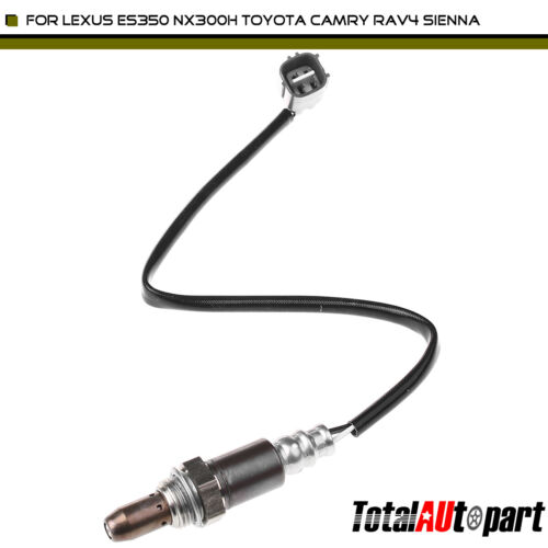 O2 Oxygen Sensor for Lexus ES350 NX300h Toyota Sienna Venza 2014-2018 Upstream | eBay