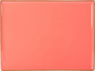 6x Porcelite Seasons Coral Farbe Rechteckige Platten 27 x 21 cm Porzellan 
