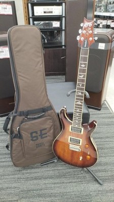 Paul Reed Smith SE Standard 24 E-Gitarre, Mahagoni Korpus, Vogel-Inlays