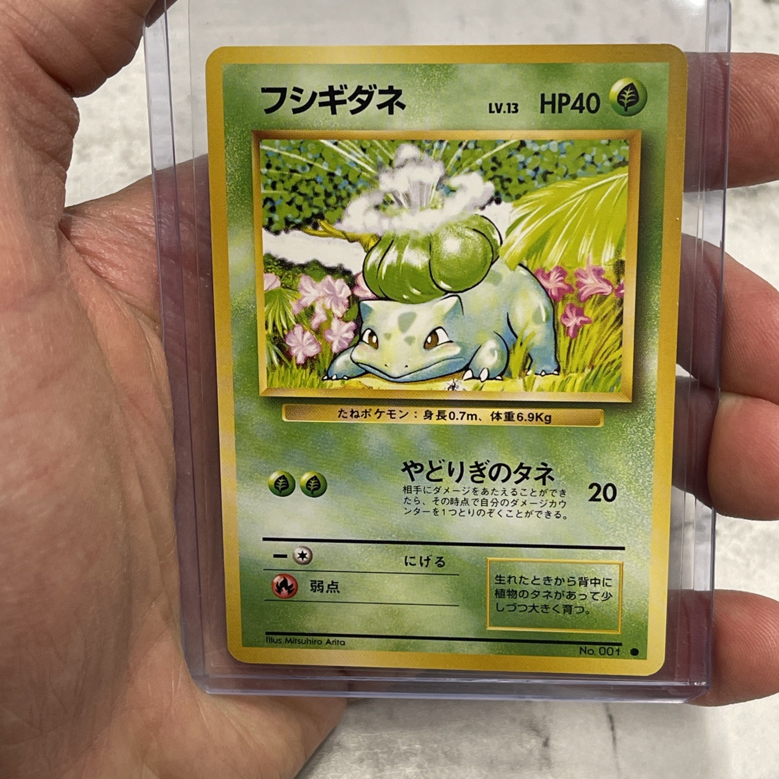 BULBASAUR NO. 001 COMMON BASE SET POKEMON JAPANESE NM/MT VINTAGE VTG CARD 1996