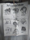 The Curnockosaur Collection Poster ID Chart Graphics 1988 17" x 22" Dinosaur  ID