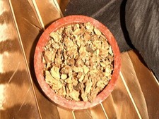 (90 EUR/kg) Angelikawurzel (50gRäucherwerk Räucherware spirituelles räuchern