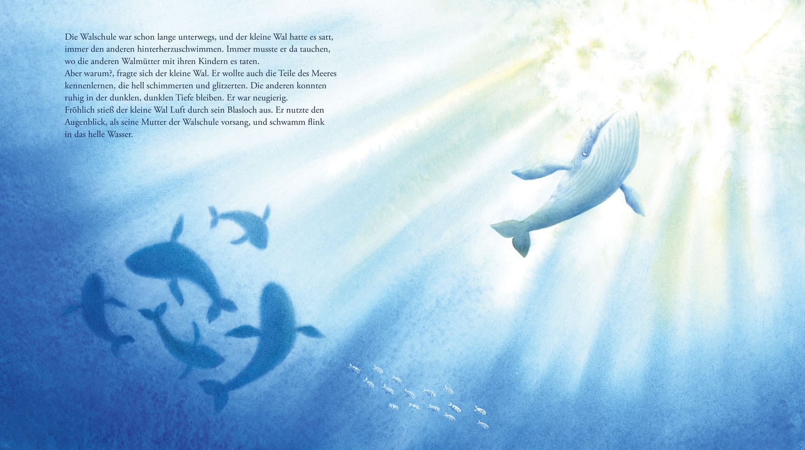 Thumbnail - Tanja Kinkel | Der Wal Und Das Mädchen | Buch | Deutsch (2017) | 32 S.