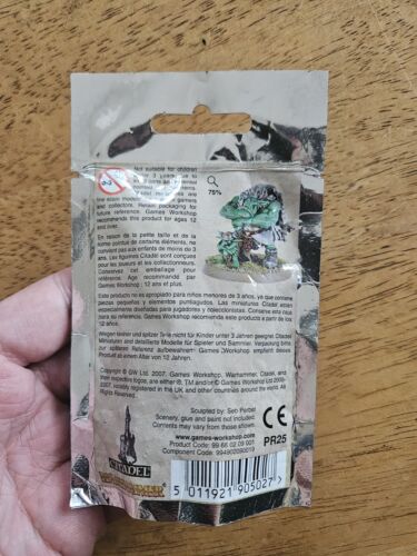 Warhammer Fantasy Gamesday 2007 Orc Warboss New Sealed - Picture 2 of 3