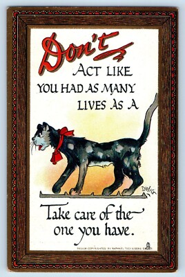 Dwig Raphael Tuck Signed Postcard Don't Act Like You Had As Many Live As A Cat