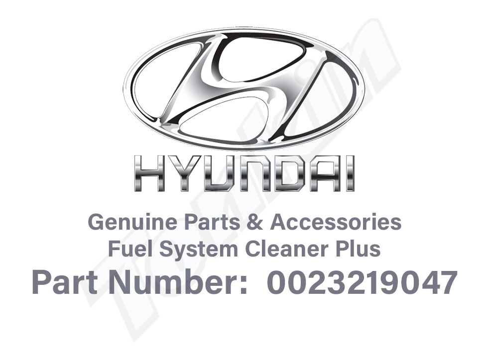 HYUNDAI COMPLETE FUEL SYSTEM CLEANER 0023219047 eBay
