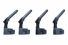 Nissan Mercedes Renault Set Of 4 Ignition Coil Packs 224335066r 224332935r