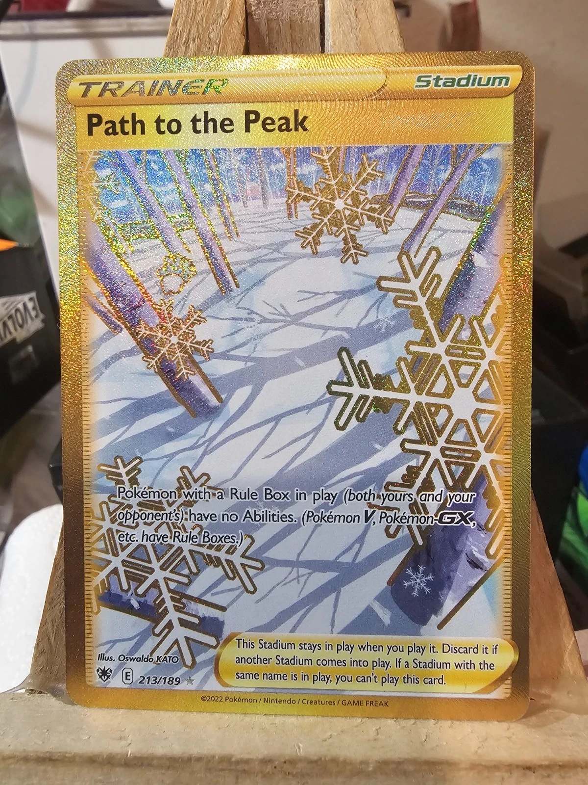 Pokémon Path to the Peak SECRET RARE HOLO 213 Astral Radiance AI Grade 8.5 - 9