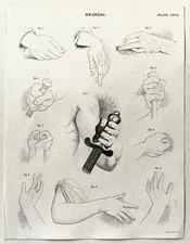 Drawing, Hands & Fingers - Original 1850 Antique Print B/W Engraving
