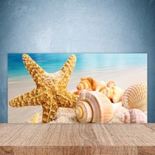 Paraschizzi da Cucina 100x50 Vetro Temperato Conchiglie stella marina Arte