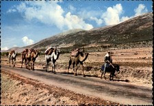 Caravan Lebanon vintage postcard h527