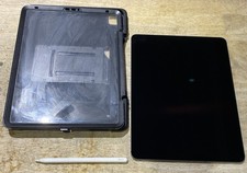 iPad Pro 12.9" 4th Gen 1Tb  Apple Pencil