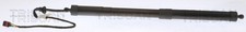 GASFEDER, KOFFER-/LADERAUM FÜR VW SHARAN (7N1, 7N2) - TRISCAN 8710 29303 GASFEDER, KOFFER-/LADERAUM FÜR VW SHARAN (7N1, 7N2) - TRISCAN 8710 29303