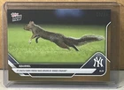 2025 TOPPS NOW #596 SQUIRREL NEW YORK YANKEES Gold Foil Parallel 10/50