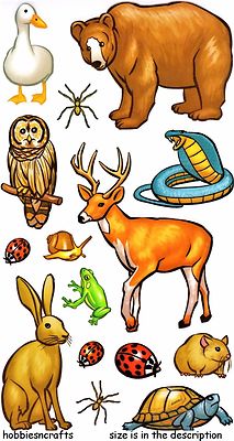 FOREST ANIMALS Sticko Stickers Bugs Insects Frog Bear Deer Owl Duck Snake Spider