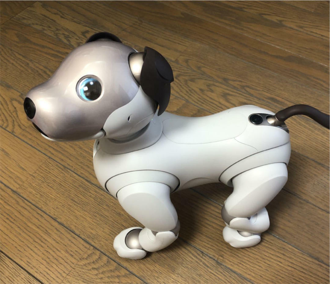 SONY 新型AIBO ERS-1000 アイボ | www.innoveering.net