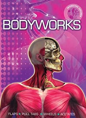 Interactive Explorer: Bodyworks Spiral Richard, Graham, Nick Walk