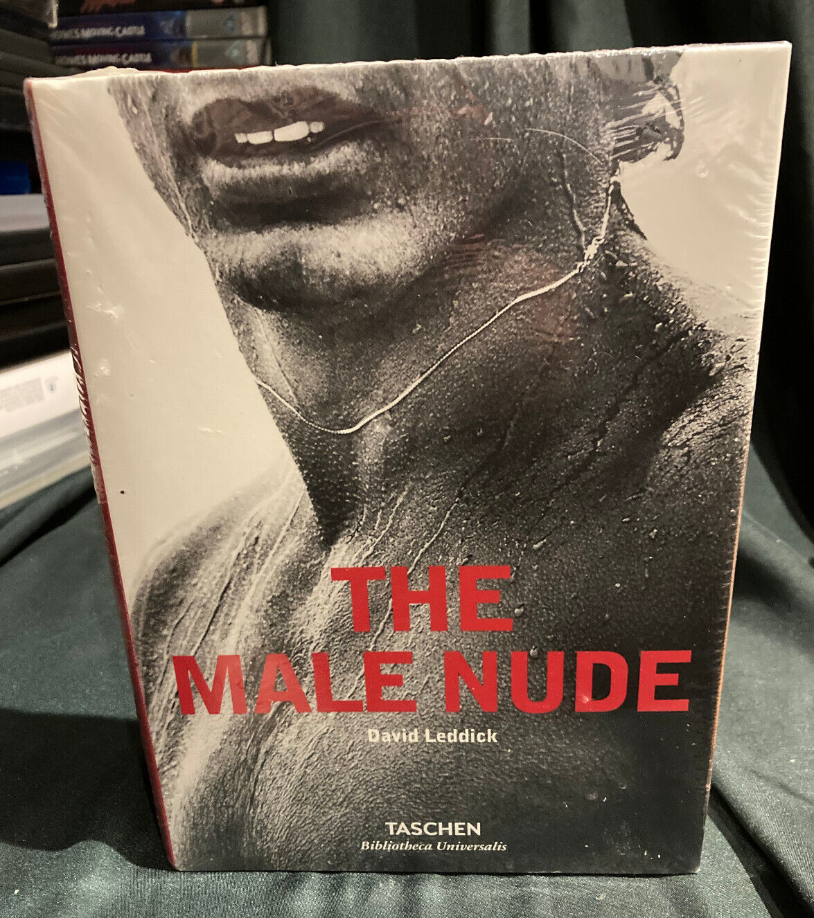 The Male Nude David Leddick - Image 7
