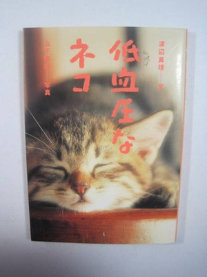 #ad Cats with low blood pressure Cat Cat Cat Photo collection Essay Poetry $63.85