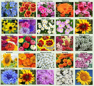 25 Heirloom Flower Seed Packets Including 20+ Varieties Flower Seeds | eBay