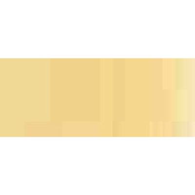 (531,67 /1l) Gold  - Hansa pro-color Body Edition 30ml. 68001