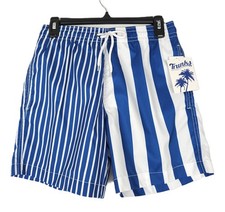 Trunks Surf Swim Co Mens Sano 6" Swim Shorts Sz Small Blue White Striped NWT