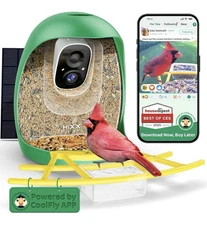 HIXX® Smart Bird Feeder with Camera, Birdwatching Camera AI Identify Bird Solar