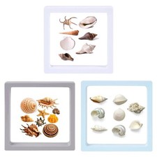 3pcs Seashell Display Box Transparent Seashell Storage Box Stackable Craft Organ