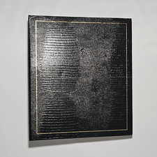 USED Pioneer Magnetic Self-Stick 3-Ring Photo Album 100 Pages 50 Sheets 