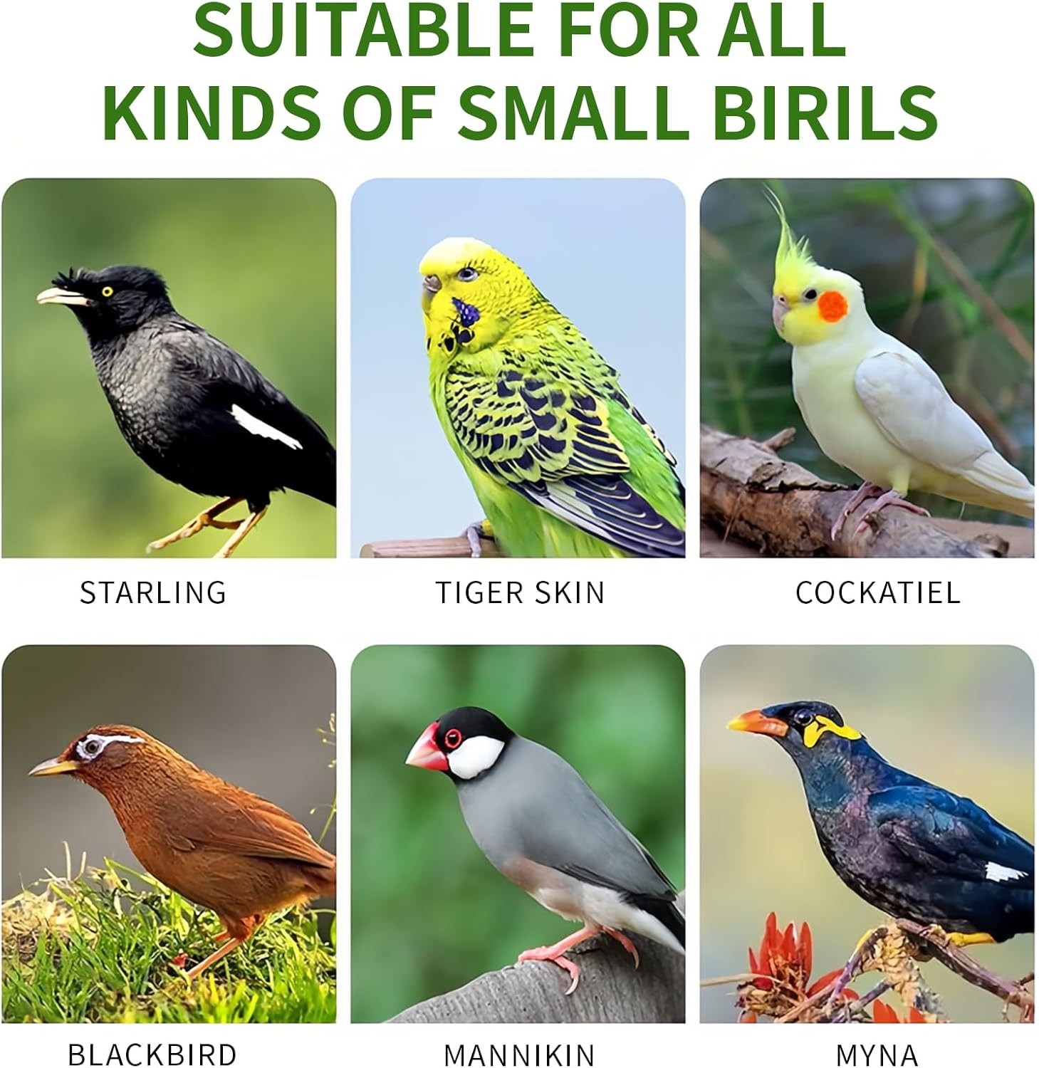 Automatic Bird Water Dispenser Hanging Drinker Feeder Fountain for Parrots