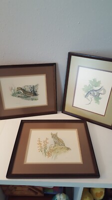 M.B. Loates Framed And Double Matted Art Prints-(3) Bob Cat, Tree Squirrel, 