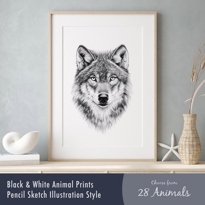 Wild Animal Print   Pencil Sketch Style Black & White Wall Art