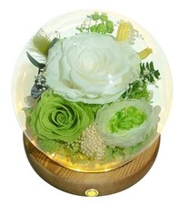 Long-Lasting Real Flowers, Unique Floral Gift For you White Rose, Green Rose