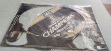 2009 PITTSBURGH PENGUINS STANLEY CUP CHAMPIONS FAN MAGNET SET WINCRAFT SPORTS