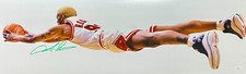 Dennis Rodman Signed Autographed 36x12 Panoramic Photo JSA Chicago Bulls Green